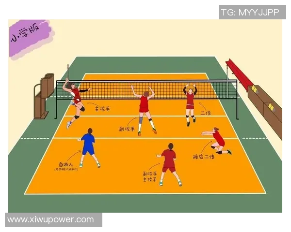 排球盛宴：深入解析西安排球队的战术节奏与团队协作